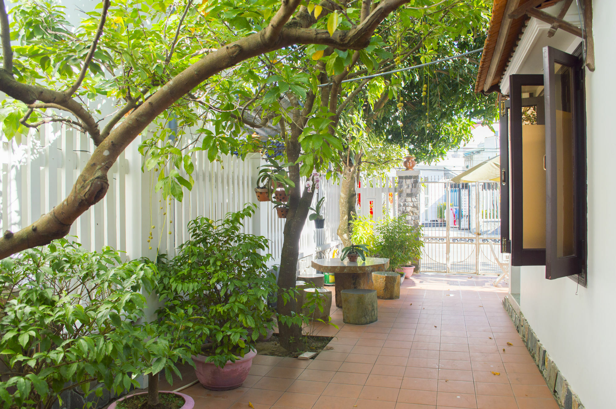 Halo Homestay Hoi An Exterior foto